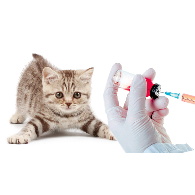 	Настанова Wsava по вакцинації собак та котів (2010)