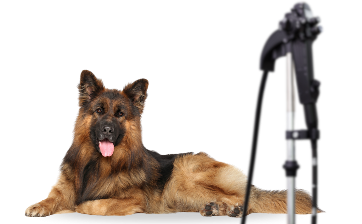 ЕНДОСКОПІЯ