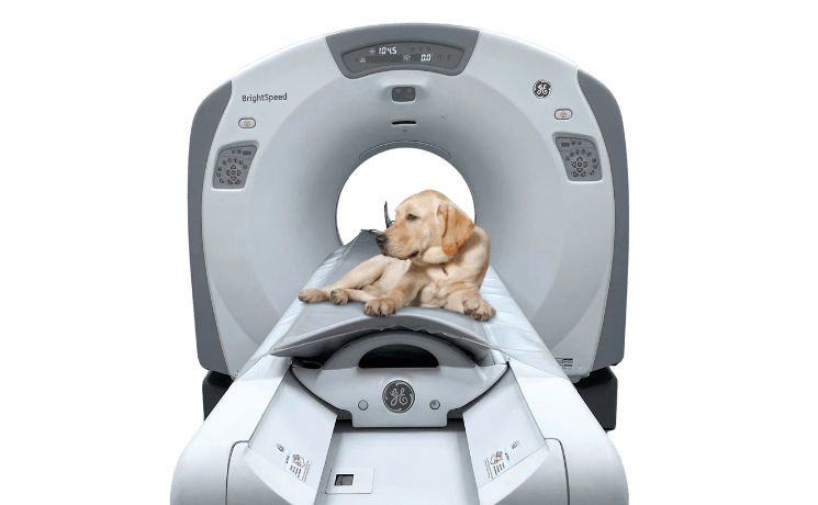 КОМП'ЮТЕРНА ТОМОГРАФІЯ